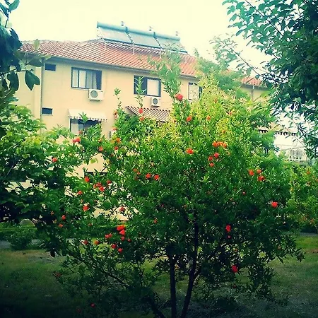 Viktoria Hotel 3*